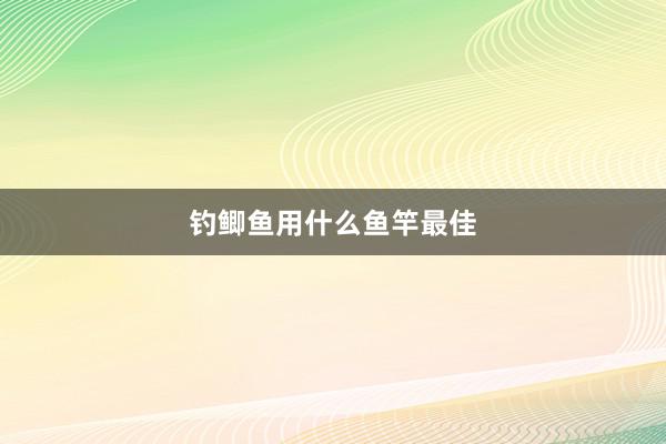 钓鲫鱼用什么鱼竿最佳
