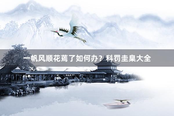 一帆风顺花蔫了如何办？科罚圭臬大全