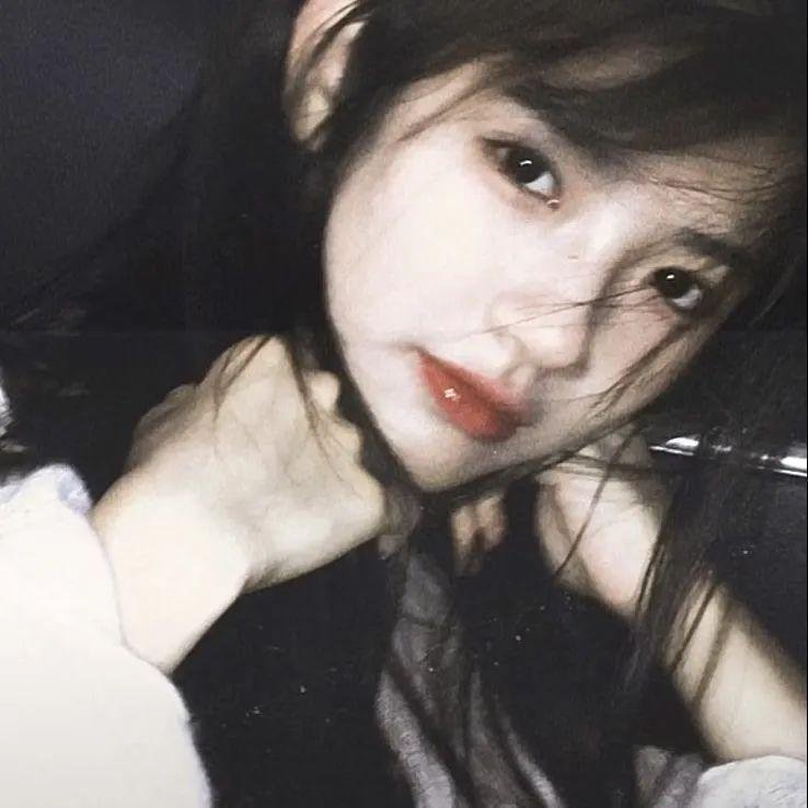 不安分的狗