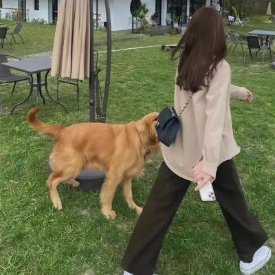 阿特拉斯耸耸肩：第一部